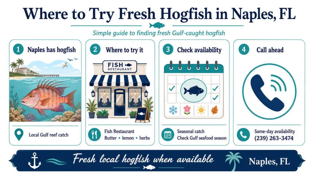Where to Try Fresh Hogfish in Naples, FL